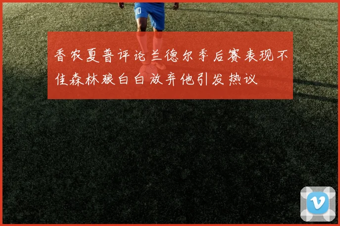 香农夏普评论兰德尔季后赛表现不佳森林狼白白放弃他引发热议