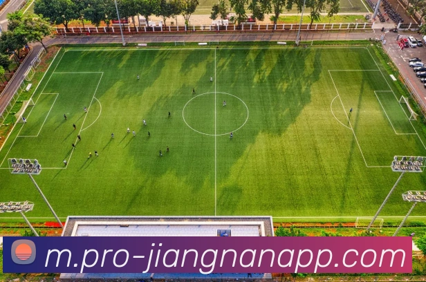 江南体育APP 封面图